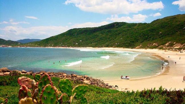 praia galheta gay florianópolis