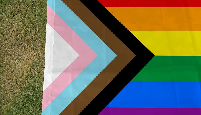 bandeira do progresso exclui bissexuais 